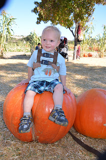 Little boy sitting on a pumpkin 