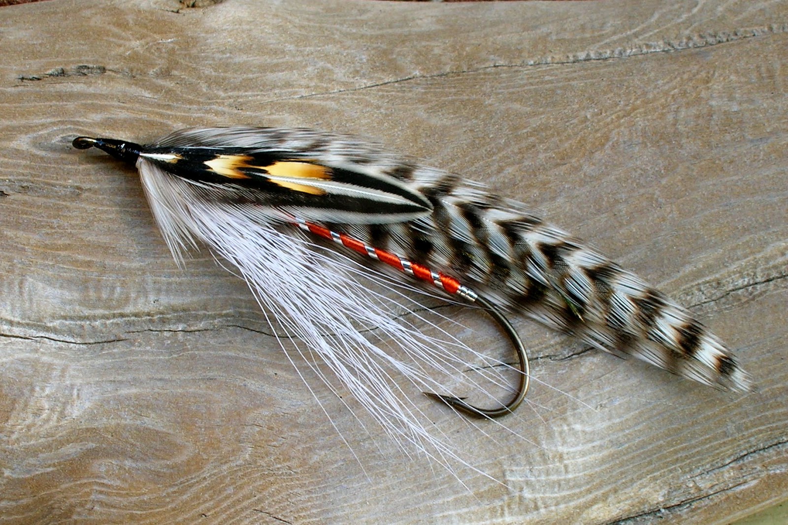 Pin by Michael King on streamers Fly fishing flies pattern, Streamers