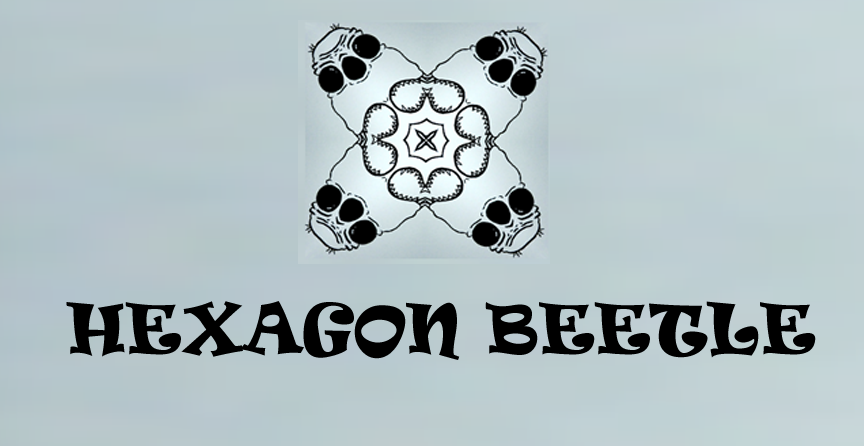 Hexagon Beetle