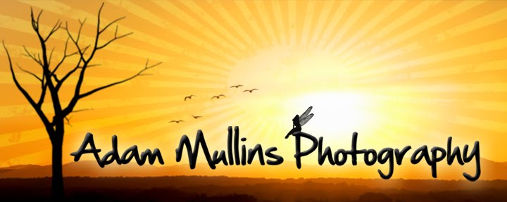 Adam Mullins Photography