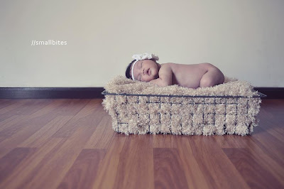 Let Them Be Babies | The disclose diary of mine