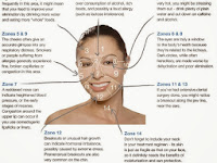 Face Acne Diagram Face Acne Diagram