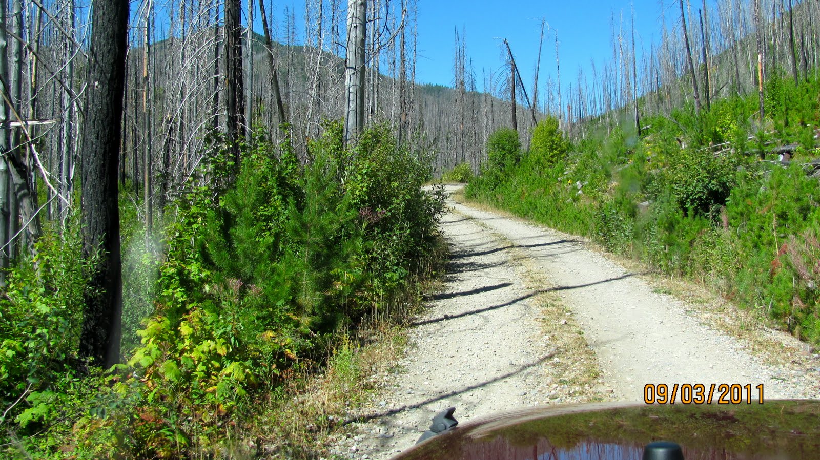 America by RV Glacier National Park and The Red Bus
