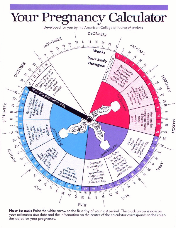 Pregnancy Wheel Chart