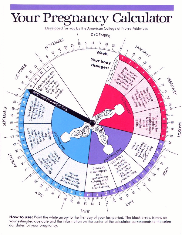 Baby Delivery Date Chart