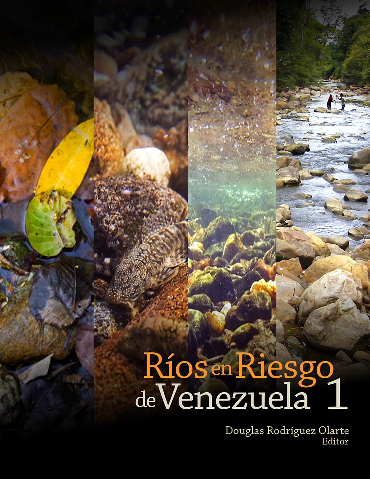 Libro Rios en Riesgo de Venezuela