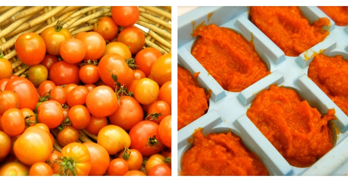 Dashes of Love Thermomix Tomato Paste