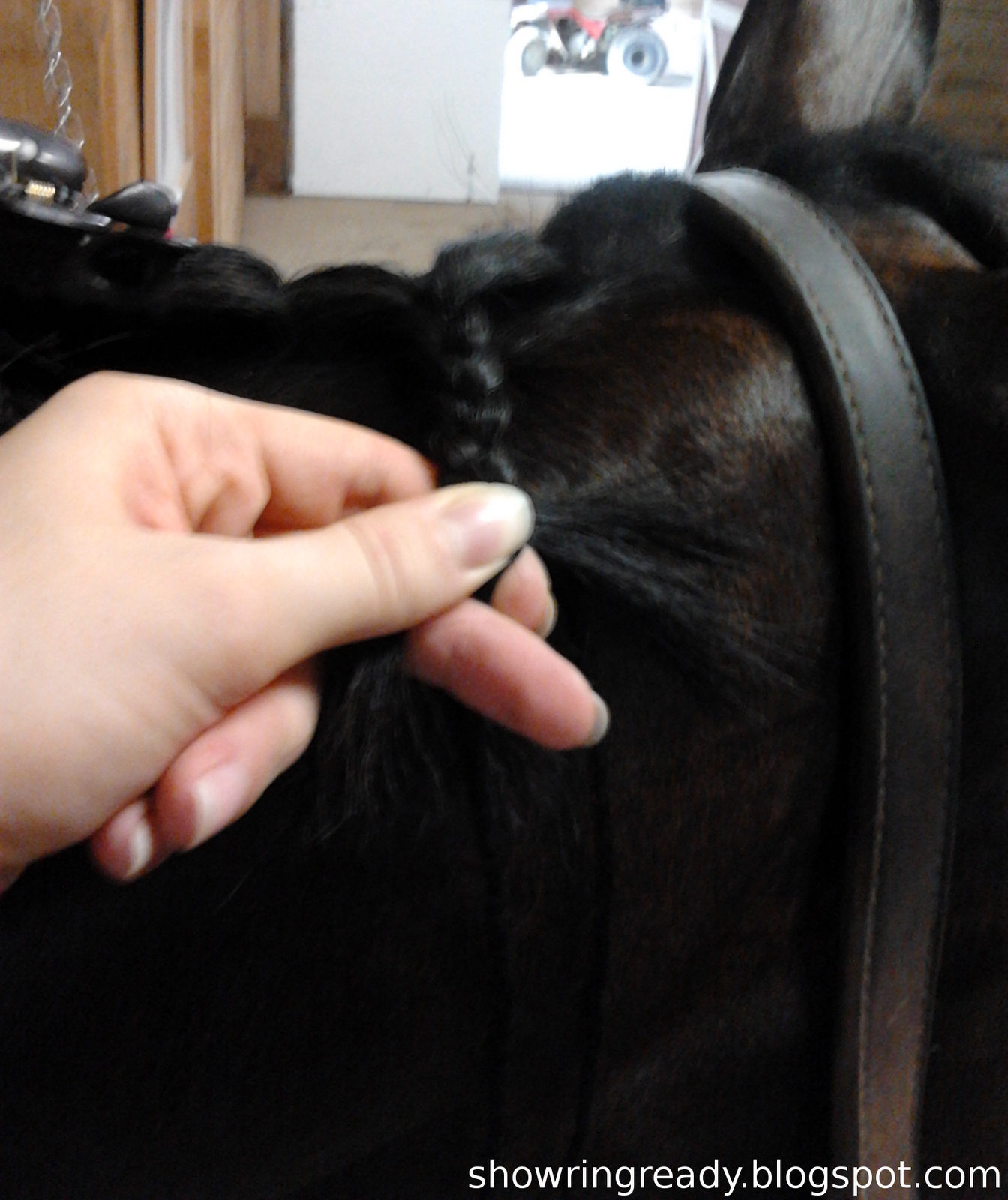 Show Ring Ready Foolproof Jumper Braids