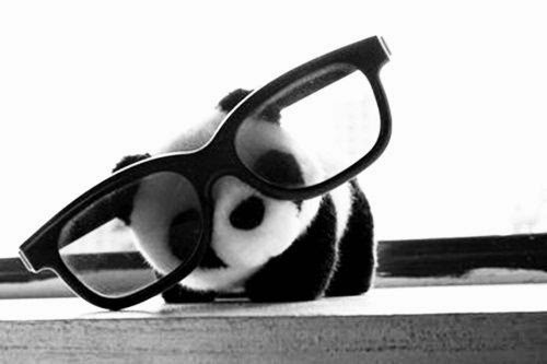 panda'sWritter