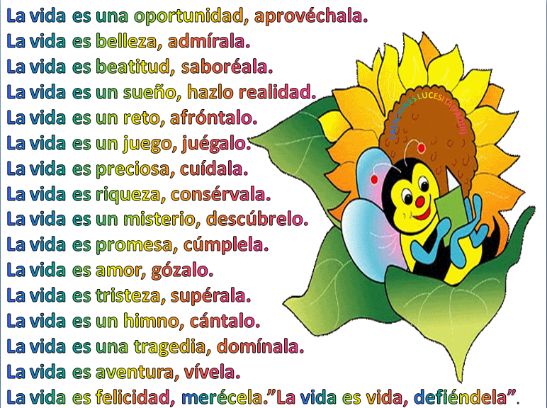 de vida y se han logrado curar muchas de las enfermedades que antes de vida y se han logrado curar muchas de las enfermedades que antes