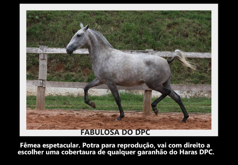 FABULOSA DO DPC