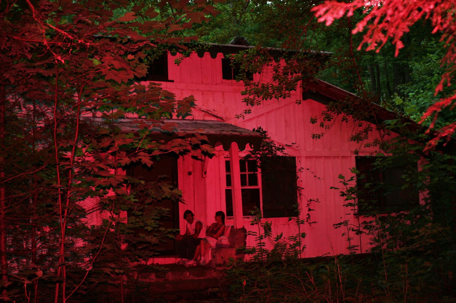 The Carpetbagger The Synchronous Fireflies of Elkmont Tennessee