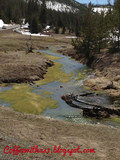 Yellowstone Trip Coffee With Us 3 #vacation #NPS #Yellowstone Stream in Yellowstone