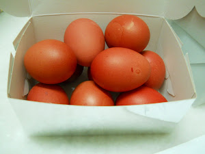RED EGGS