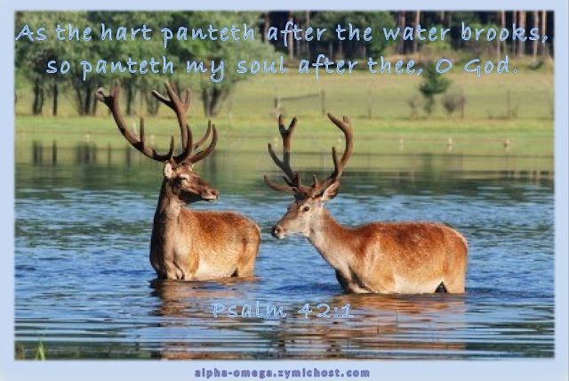 As the hart panteth after the water brooks, so panteth my soul after thee, O God.