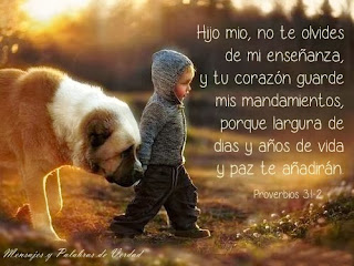 Proverbios / Frases Proverbios / Frases