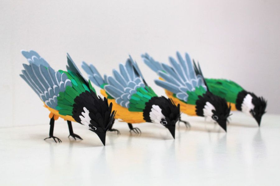 3d colourful paper birds sculptures by Diana Beltran Herera art