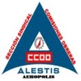 ALESTIS-COMISIONES OBRERAS DE AEROPOLIS