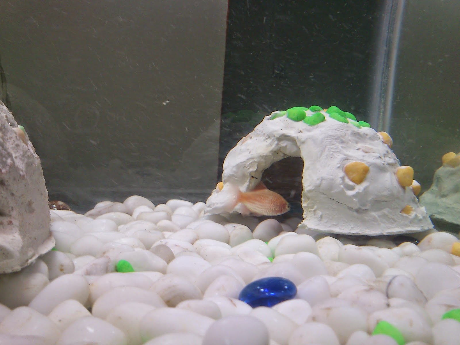 DEEPAK RAJA D DIY Fish Tank Decorator a Tunnel and a Cave