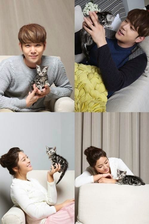 Free Download Film Korea The Cat Funeral Subtitle Indonesia Download Film The Cat Funeral Subtitle Indonesia