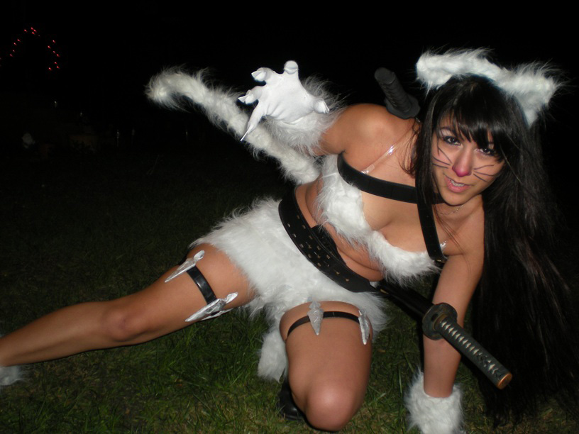cat fighting stance