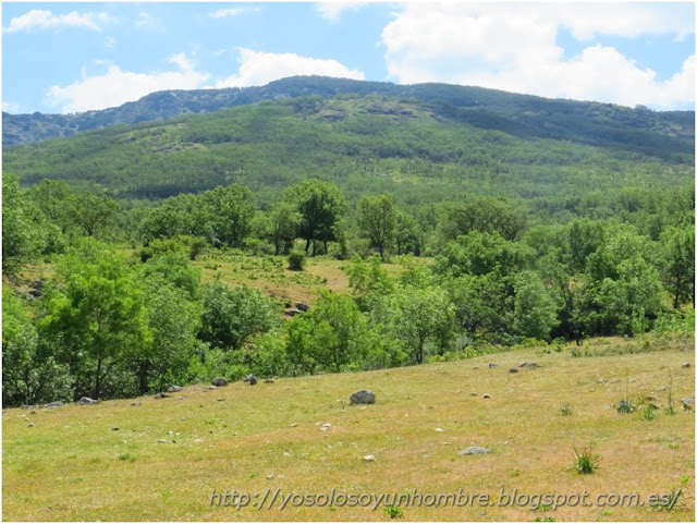 Campo verde Campo verde
