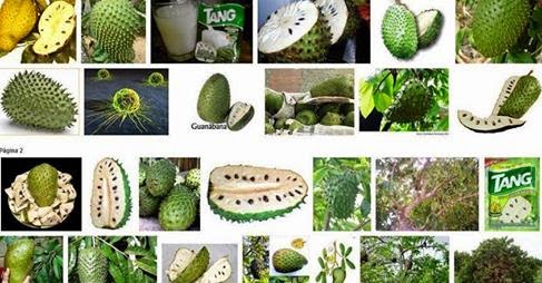 Guanabana....Graviola