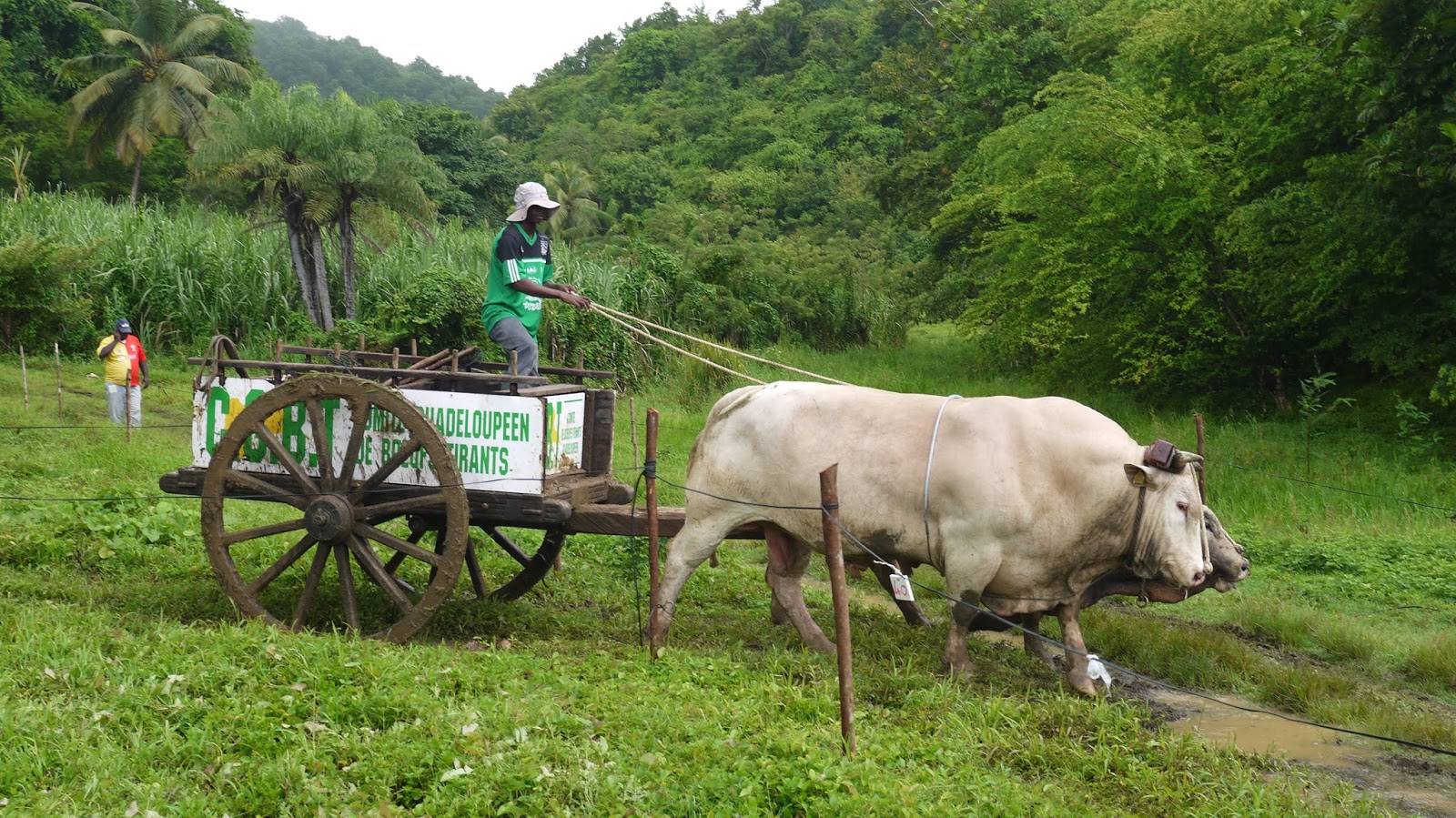 Route du rhum 2013 Le traditionnel concours de 