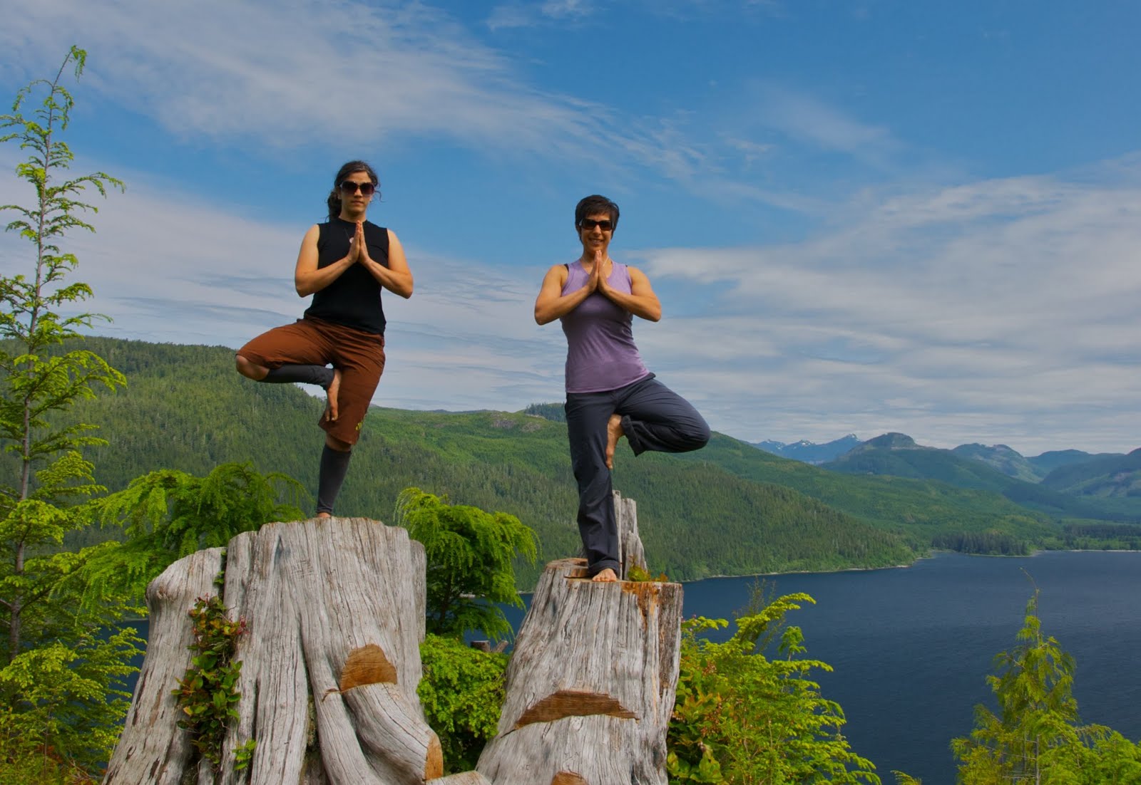 Eat Hike Sleep Repeat Canada's Largest Tree