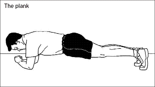 plank exercise diagram eagle athletic club site basics the plank plank exercise diagram eagle athletic club site basics the plank