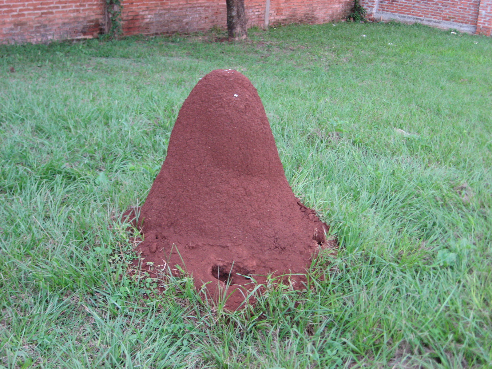 Mate y Folklore Argentino TACURU