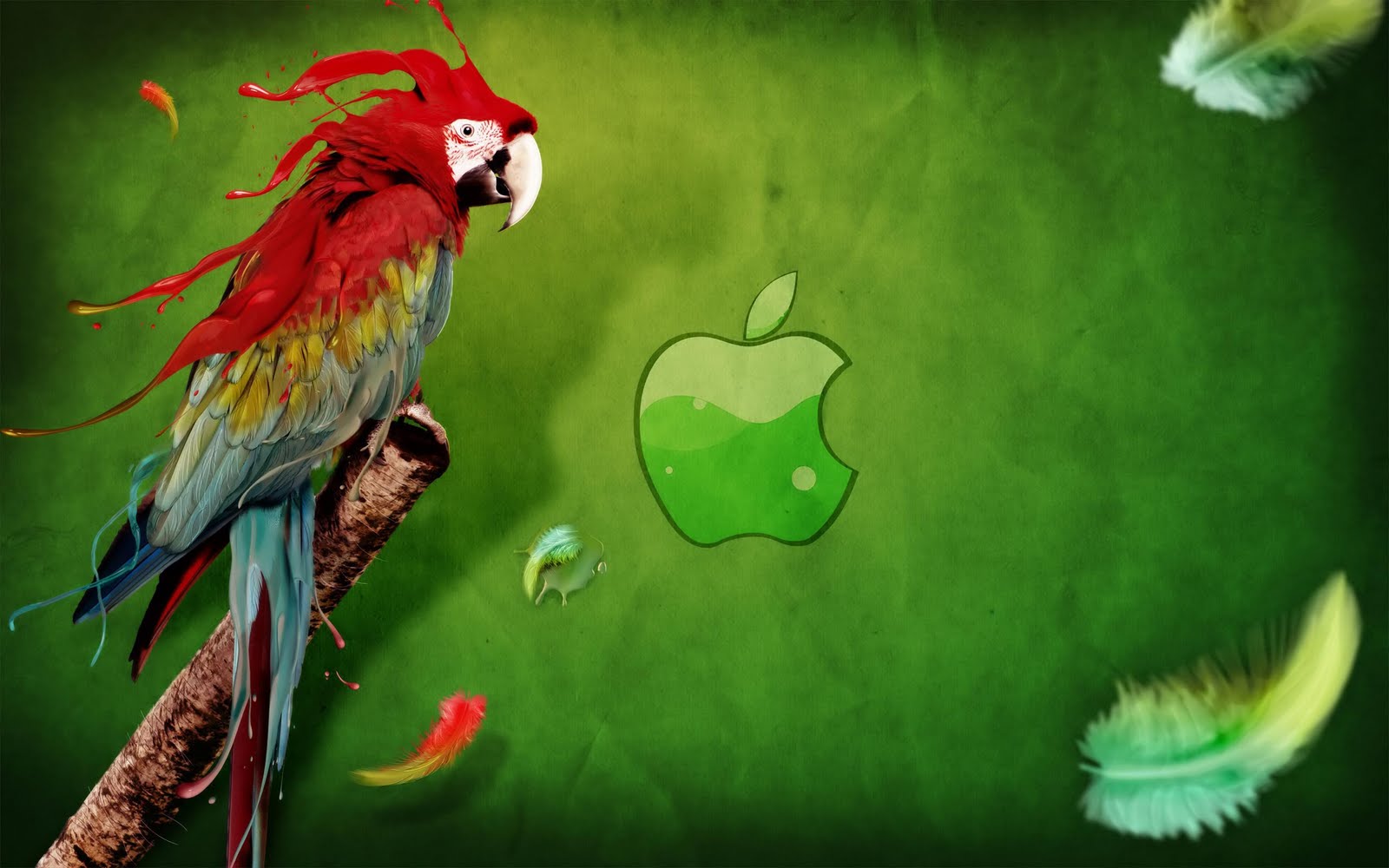 http://4.bp.blogspot.com/-6A3blU3r3Qk/TbcD-pT4h2I/AAAAAAAABhE/4OsToriMvvw/s1600/Apple_Parrot_hd_wallpaper.jpg