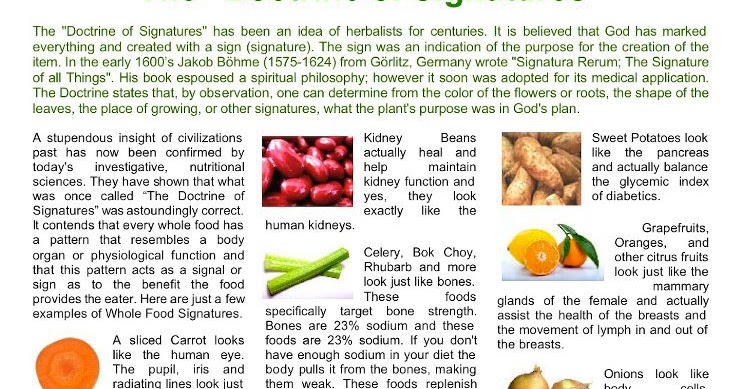 The Doctrine Of Signatures Chart