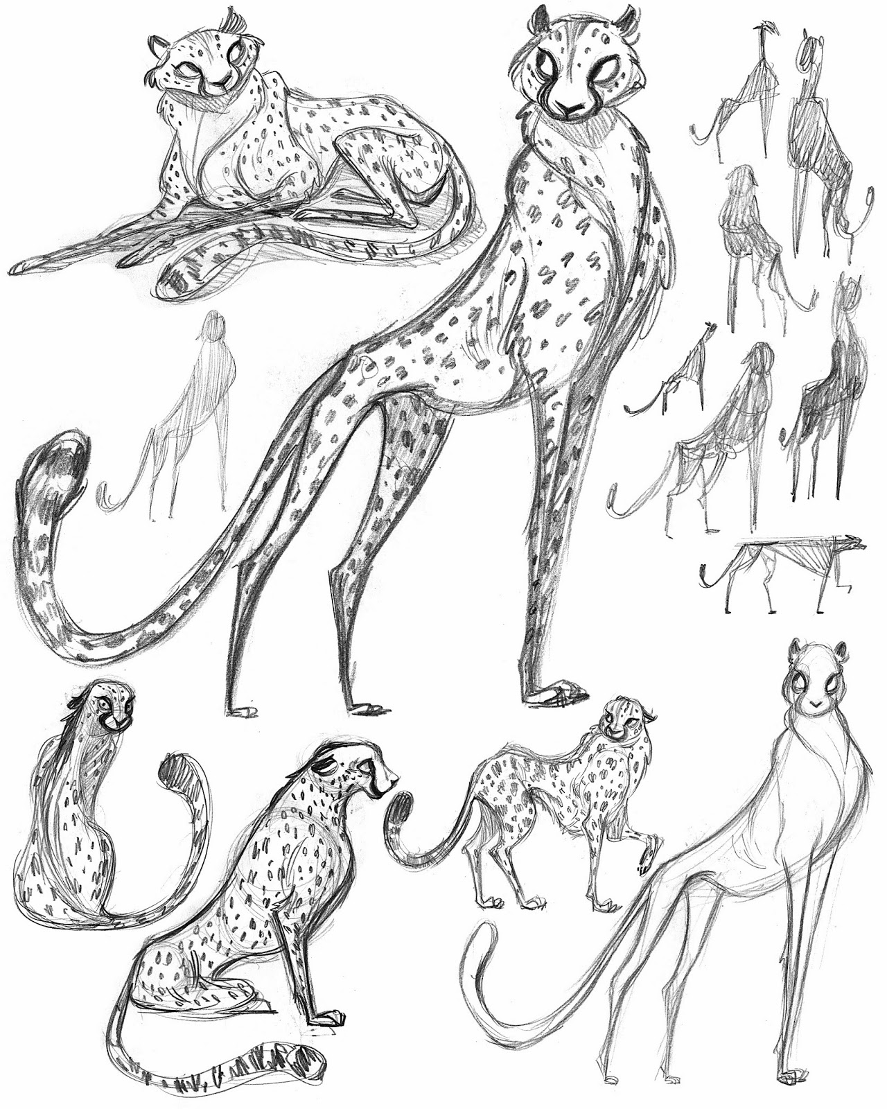 CaChaVa You Cheetah! Concept art drawing, Animal