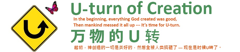 U-turn of Creation | 万 物 的 U 转