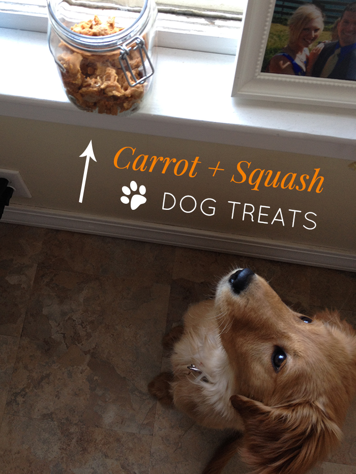 Carrot + Squash Dog Treats Stress Baking