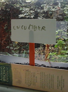 Apartment Gardening: Homeschool Biology 101 - Seeds | Gluten-Free Mum