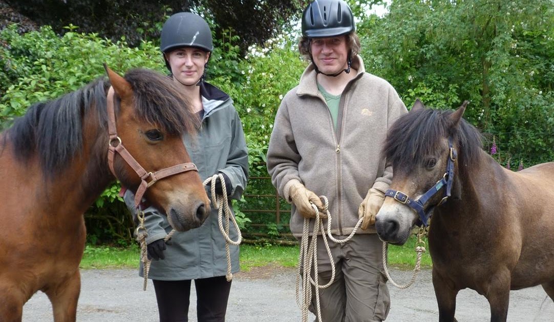 Understanding Horses Horse Handling For Beginners