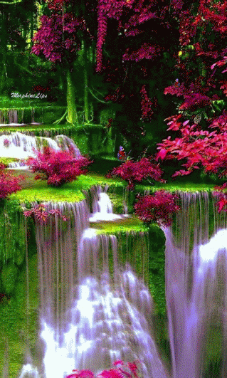Beautiful colorful pictures and Gifs: Waterfall_Cascada-Animated-gif.