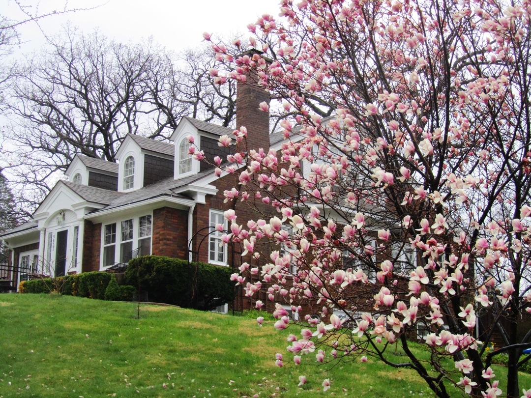 Kristazio on Golf Review Waveland Golf Course, Des Moines Iowa