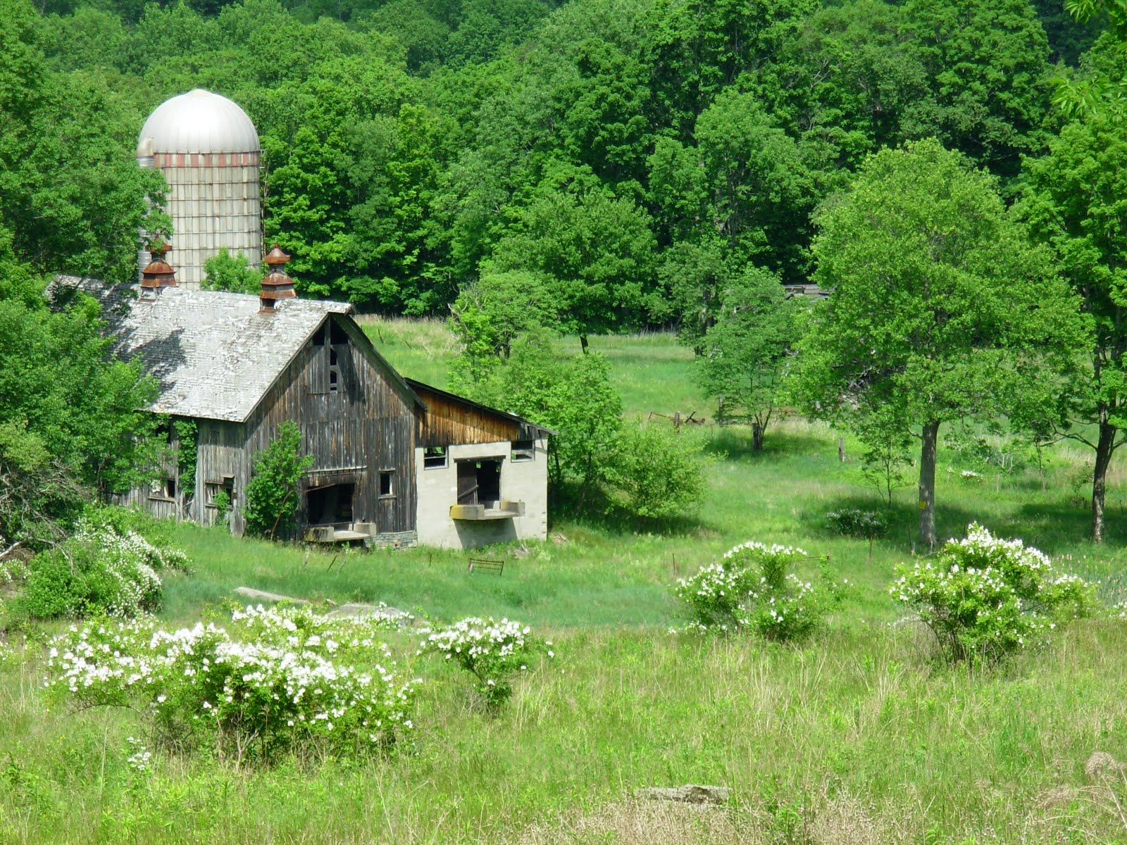 Mountaindale Living History