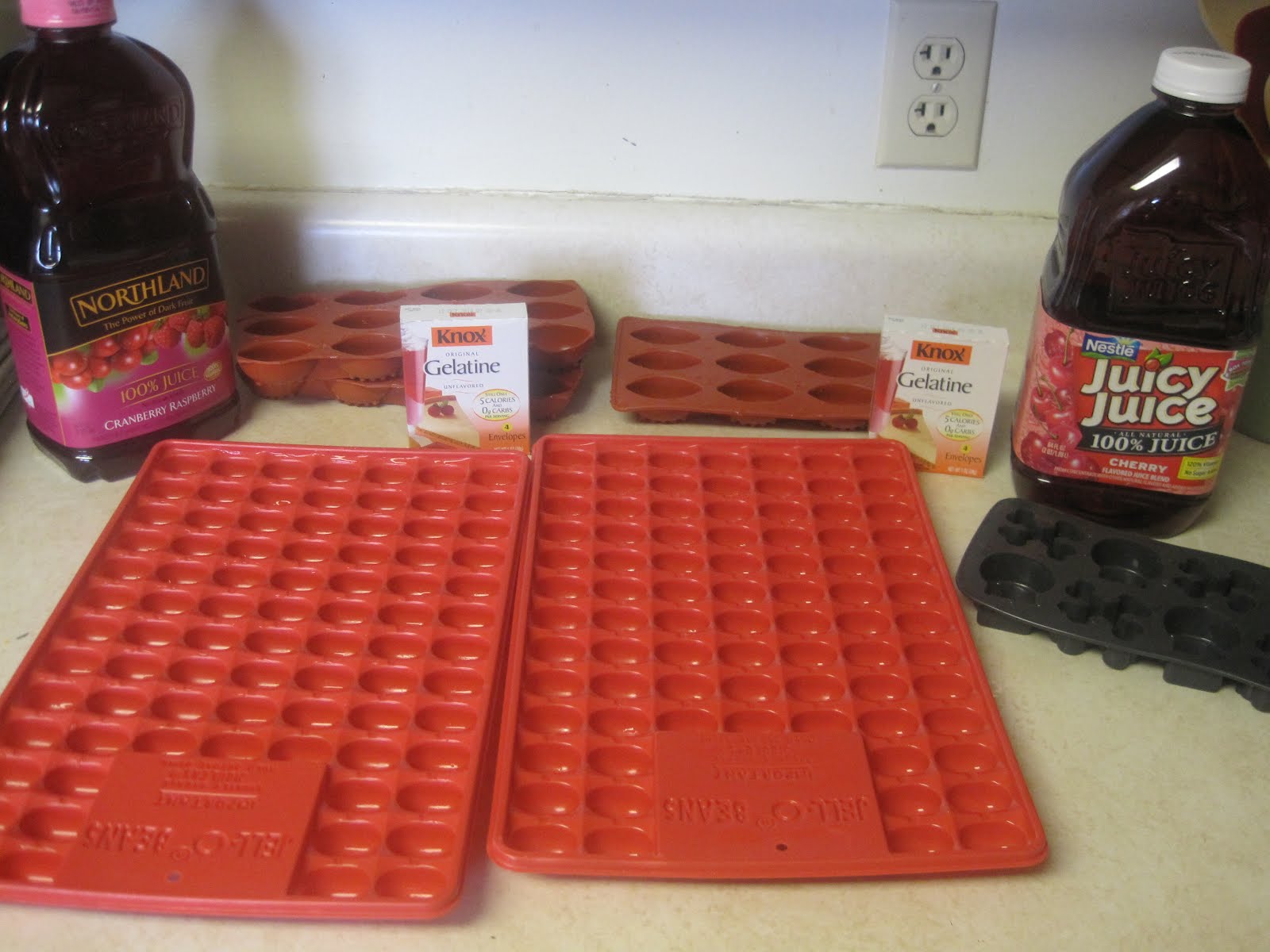 Nay's Yummy Goodness Homemade Fruit Snacks