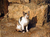 La gata de Antonio Capel