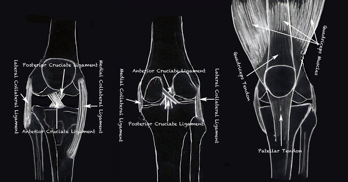 Exercise Basics: Knee Injury - Sprains and Strains