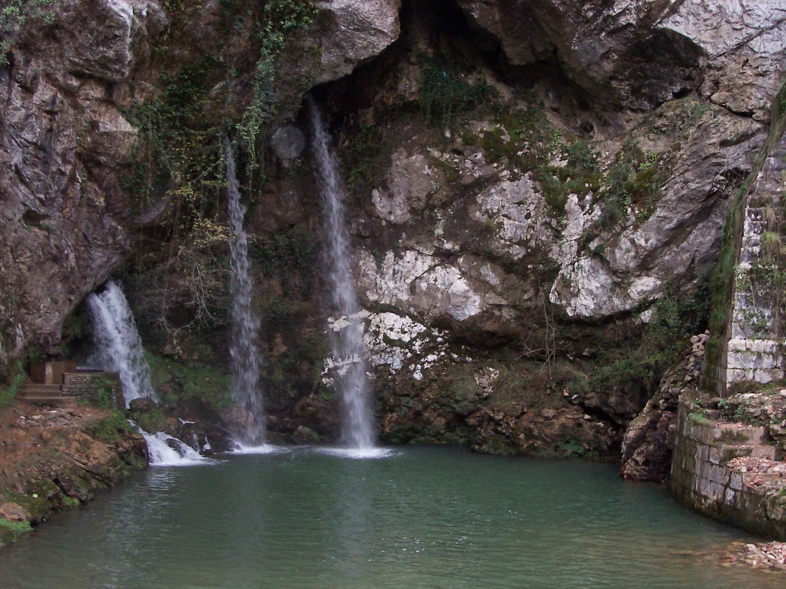 natural acompañante del hotel salida natural acompañante del hotel salida