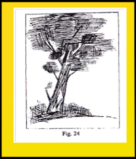 psicologia-grafologia-dibujo-test-prueba-proyeccion-tecnica proyectiva