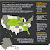 Drivers license infographic