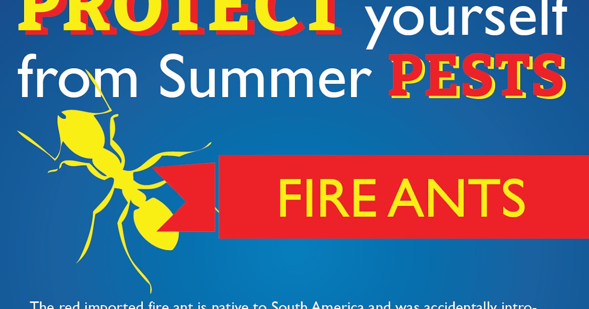 Servall Pest Control: Summer Pest Protection