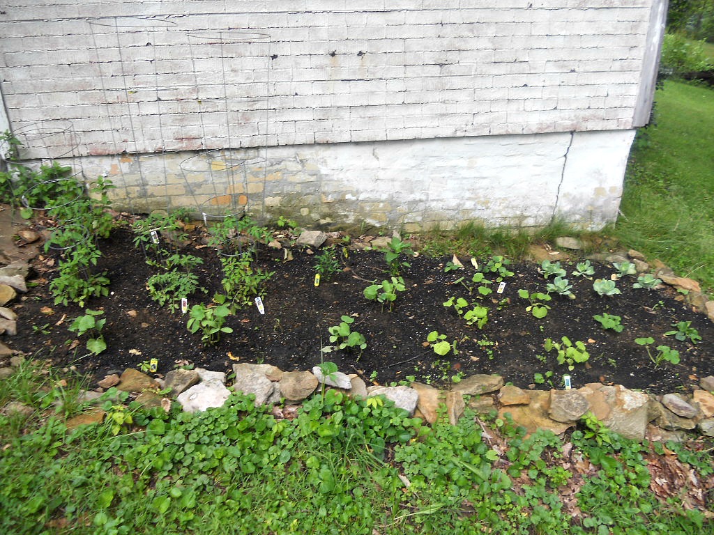 How Does My Garden Grow? HezziD's Books and Cooks