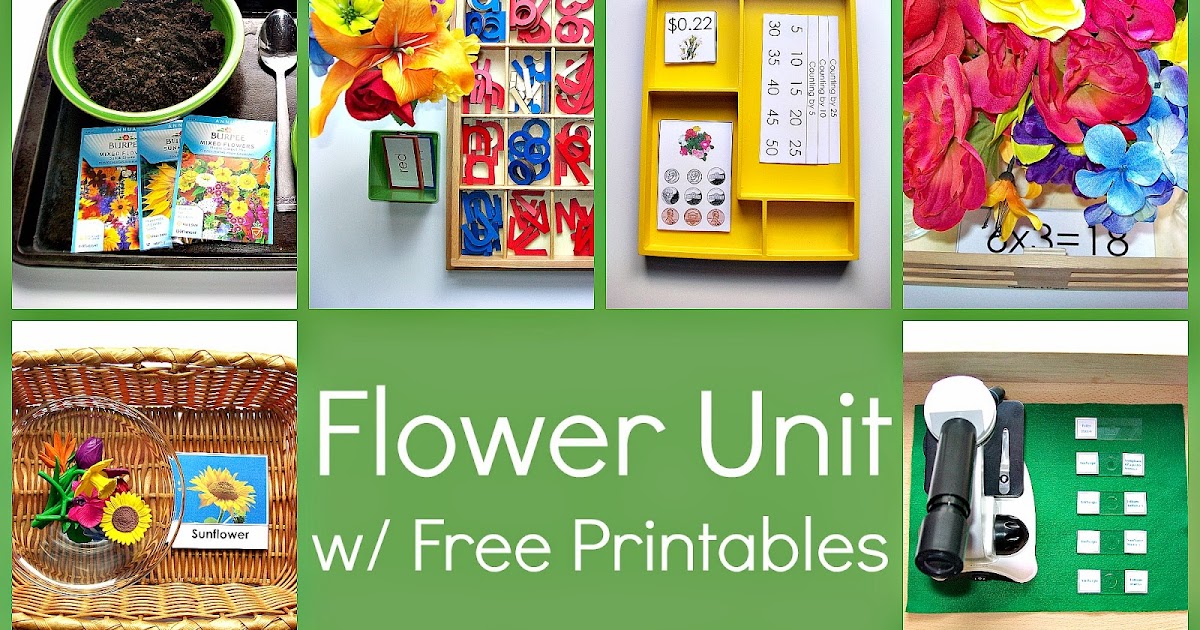 Flower Unit w/ Free Printables Every Star Is Different